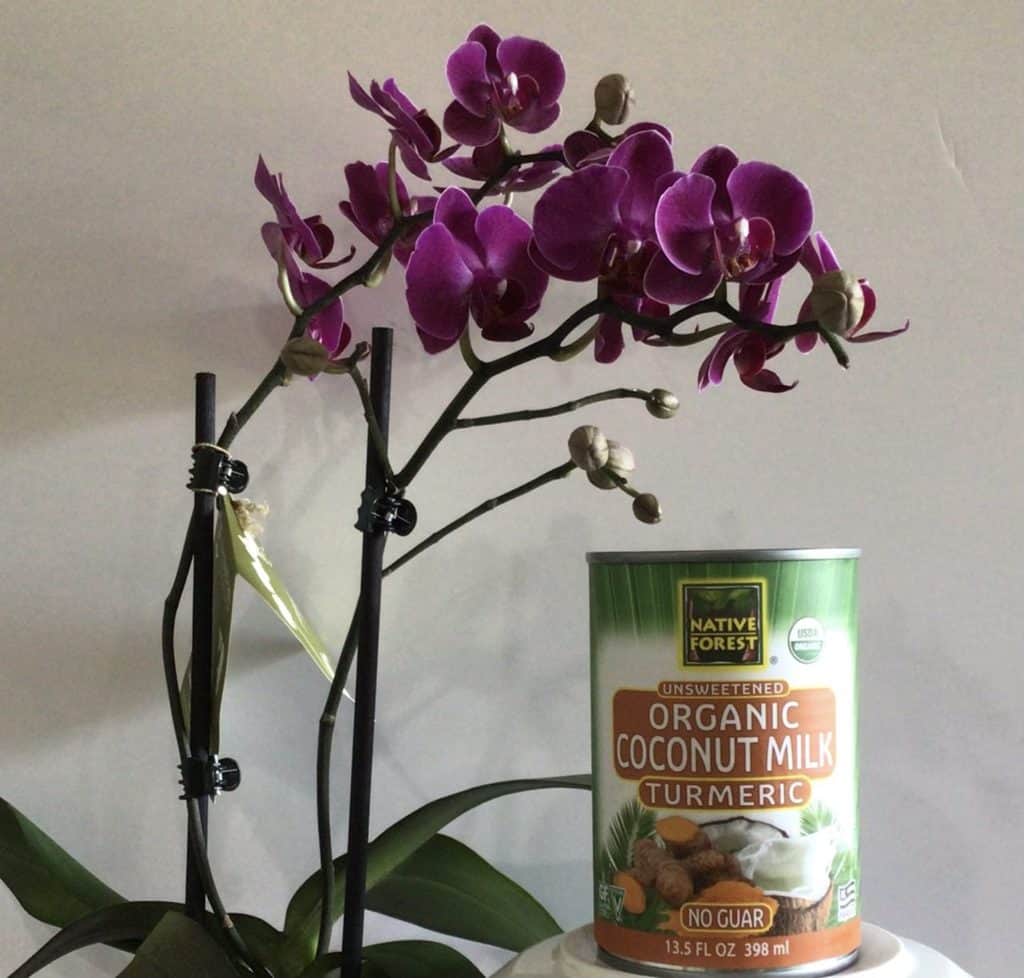 Organic Turmeric Coconut Milk w/Donut Recipe Yelm Food Coop