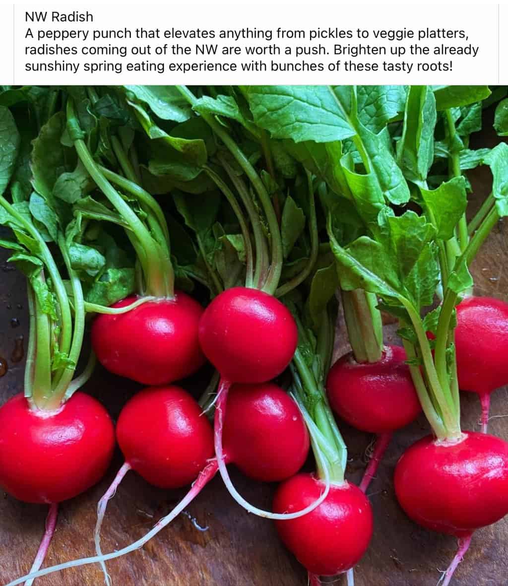 ORGANICALLY GROWN COMPANY visual data 5