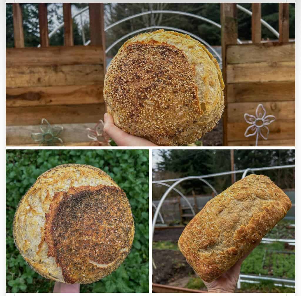 Happi Hippi Homestead Local Eatonville Bakery Yelm Food Coop